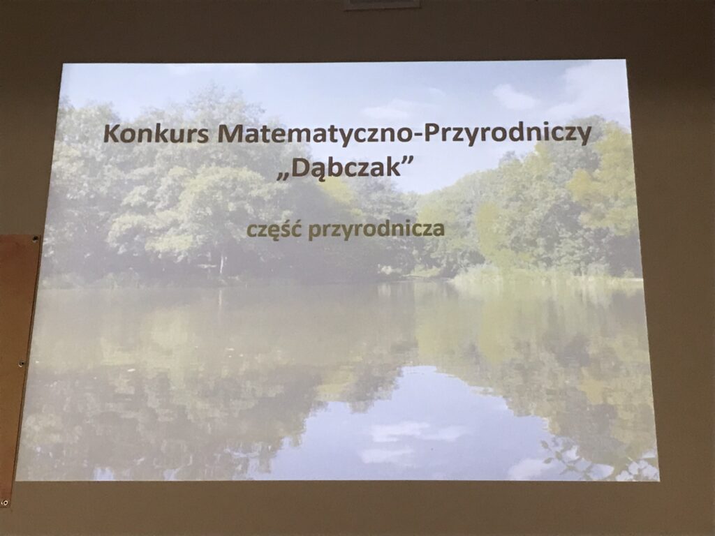 Przezntacja multimedialna