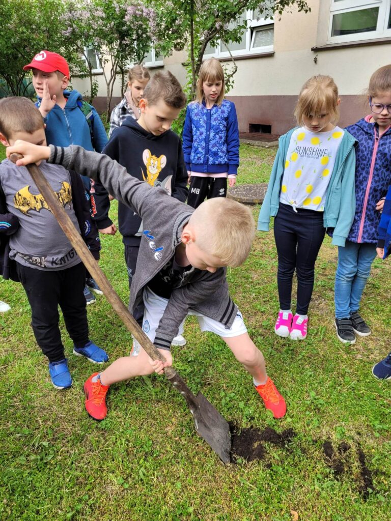 kopanie przez ucznia dołka pod sadzonkę