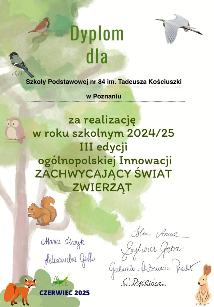 Dyplom za realizacje programu