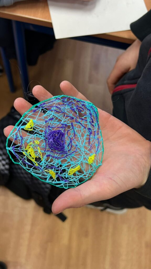 model komórki wykonany przez uczniów