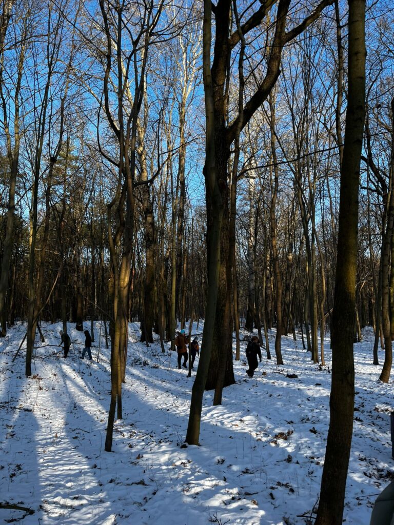 Zbieranie materiałów na szałas