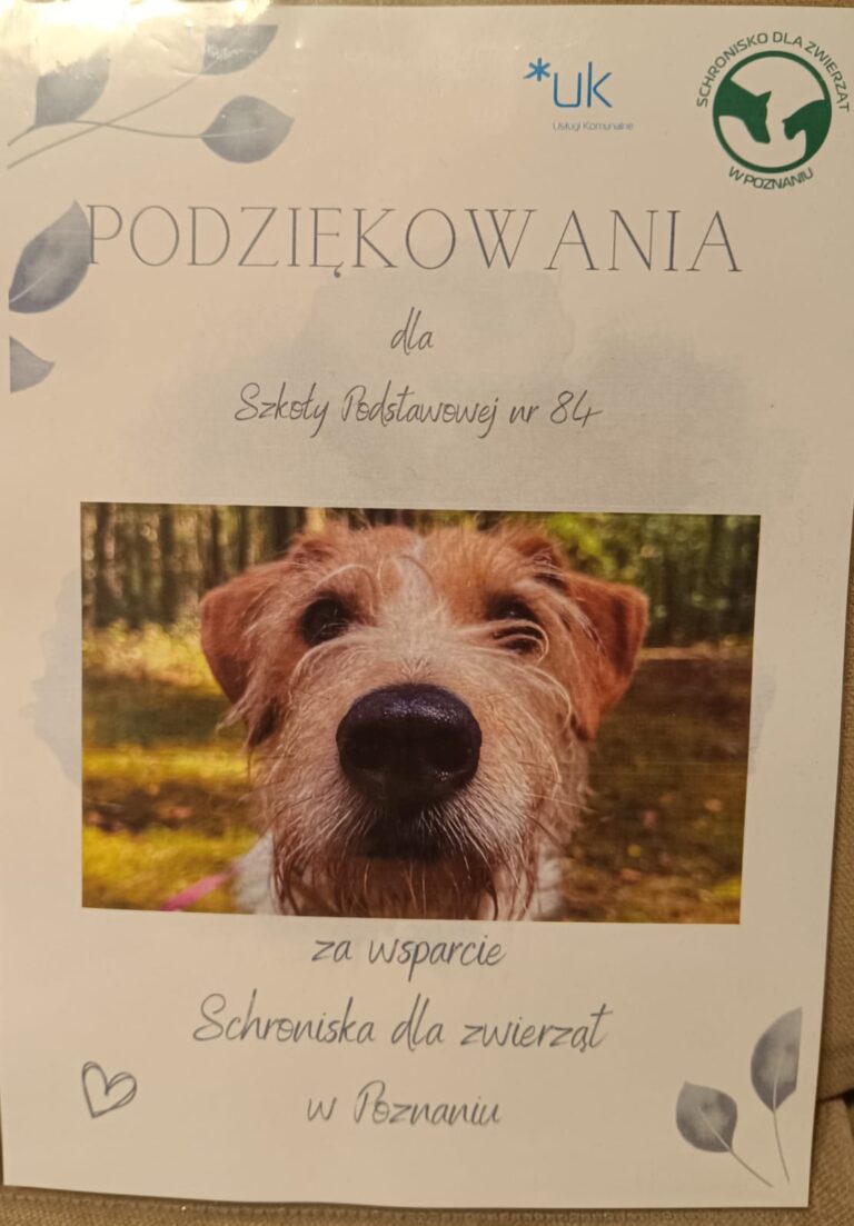 Podziękowania w formie dyplomu od schroniska dla zwierząt w Poznaniu dla szkoły.
