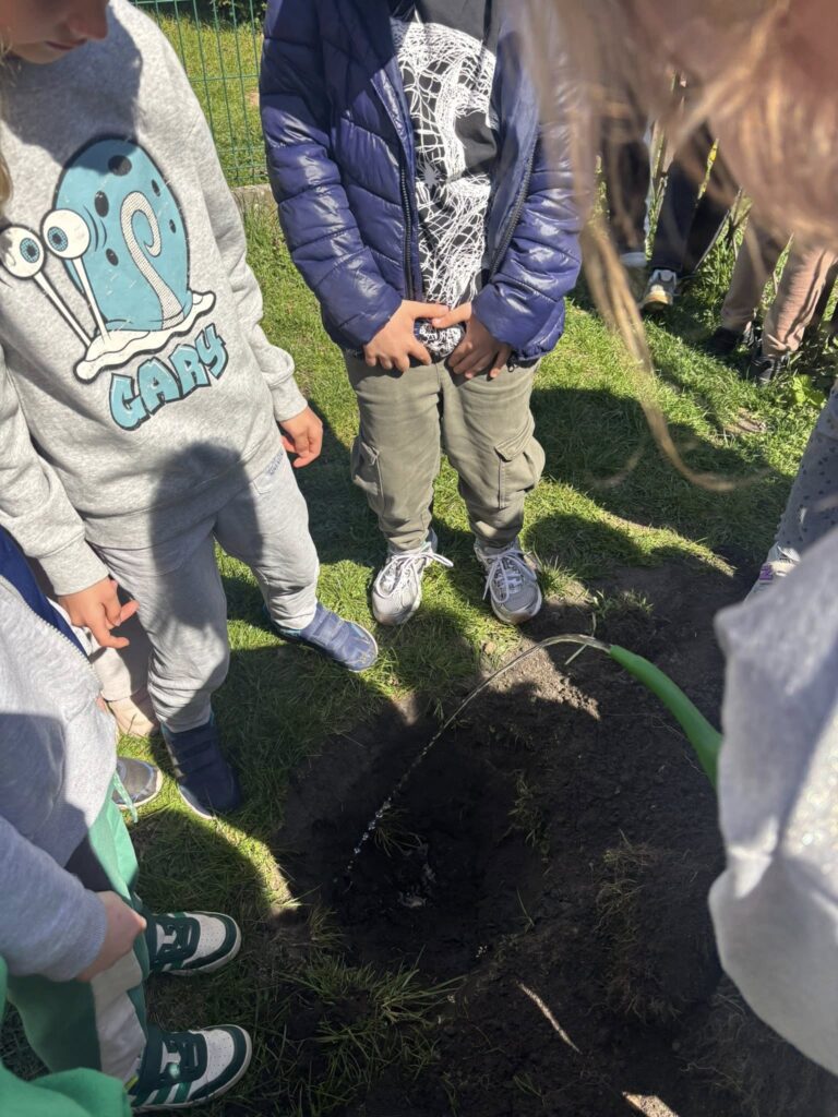 Dzieci podlewają podłoże pod drzewko