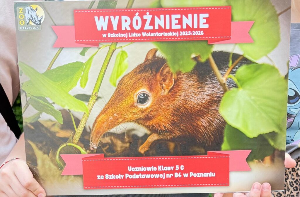 wyróżnienie dla klasy 5c